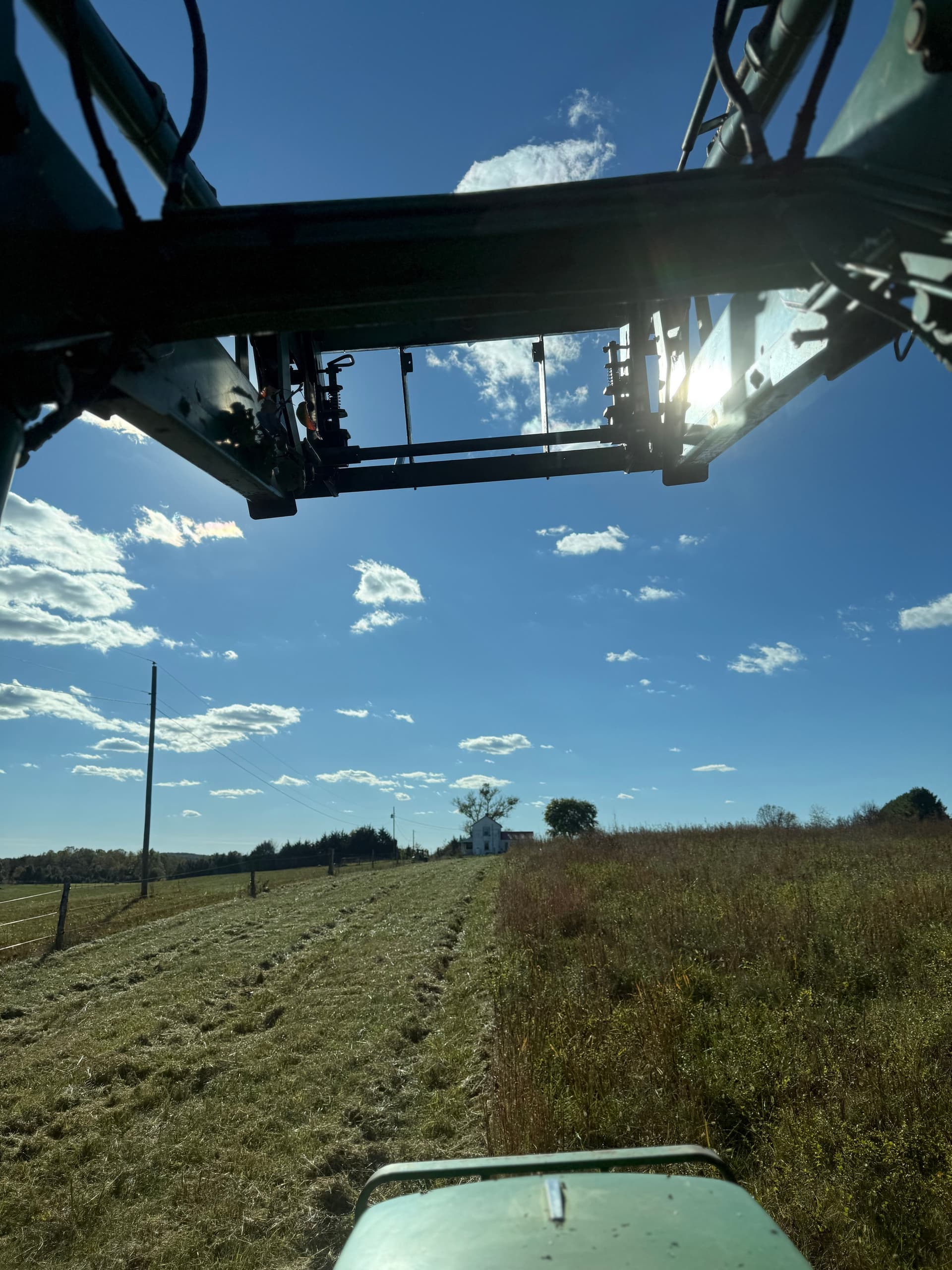 Gallery photos for Clean Cutting for Winter Readiness in Buckingham: Image #1