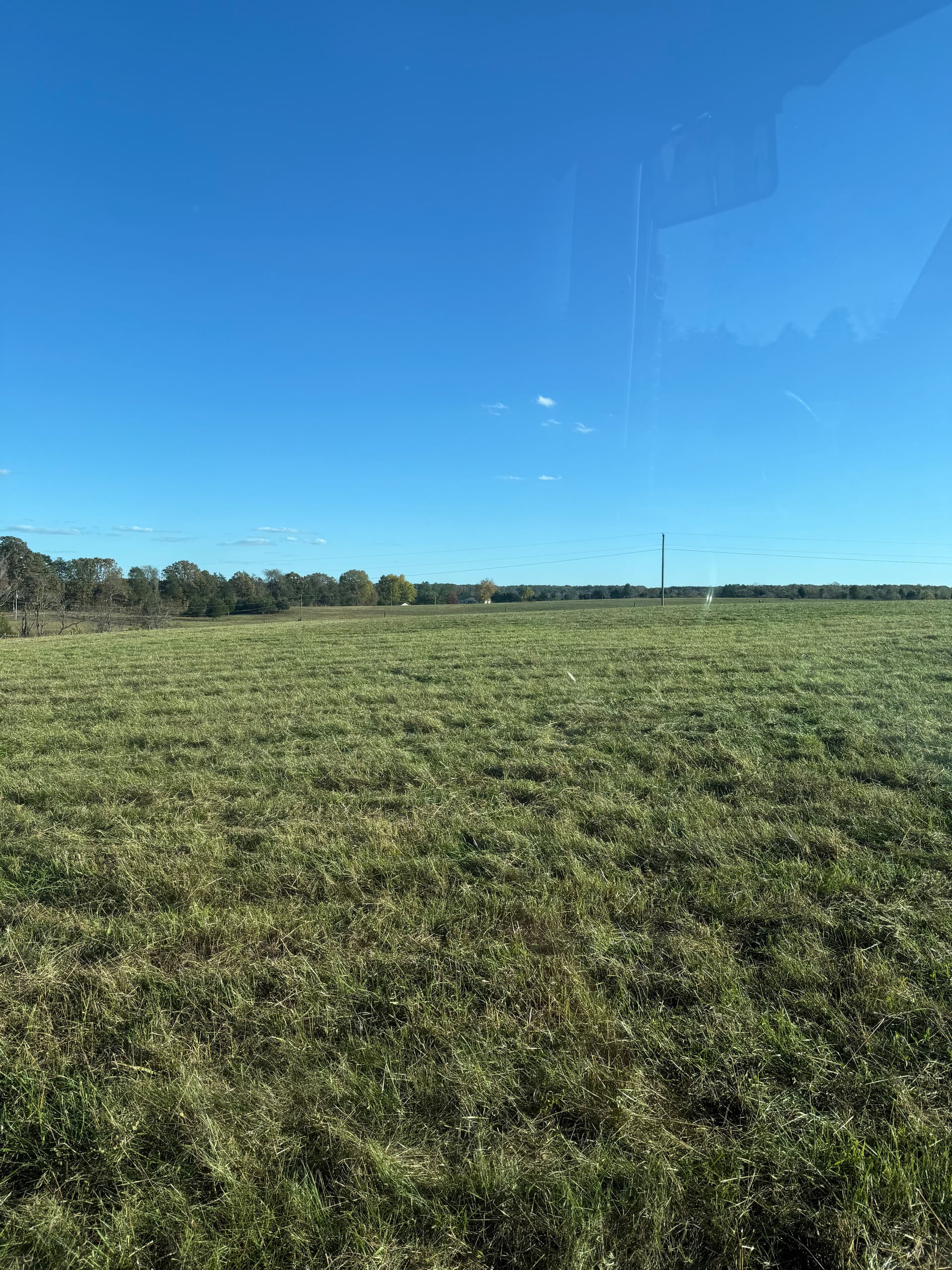 Gallery photos for Clean Cutting for Winter Readiness in Buckingham: Image #3