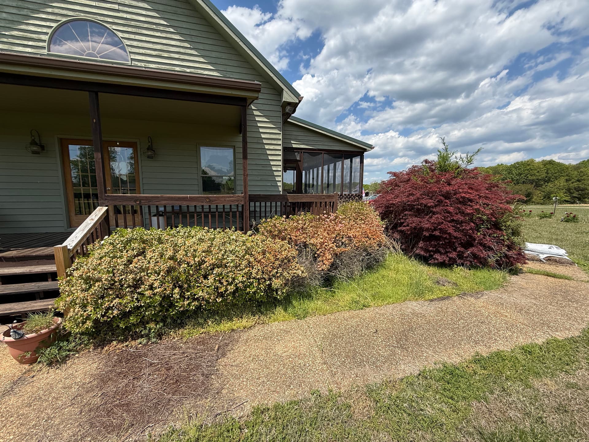 Gallery photos for Overgrown Mulch Beds Cleaned Up and Looking Sharp: Image #2