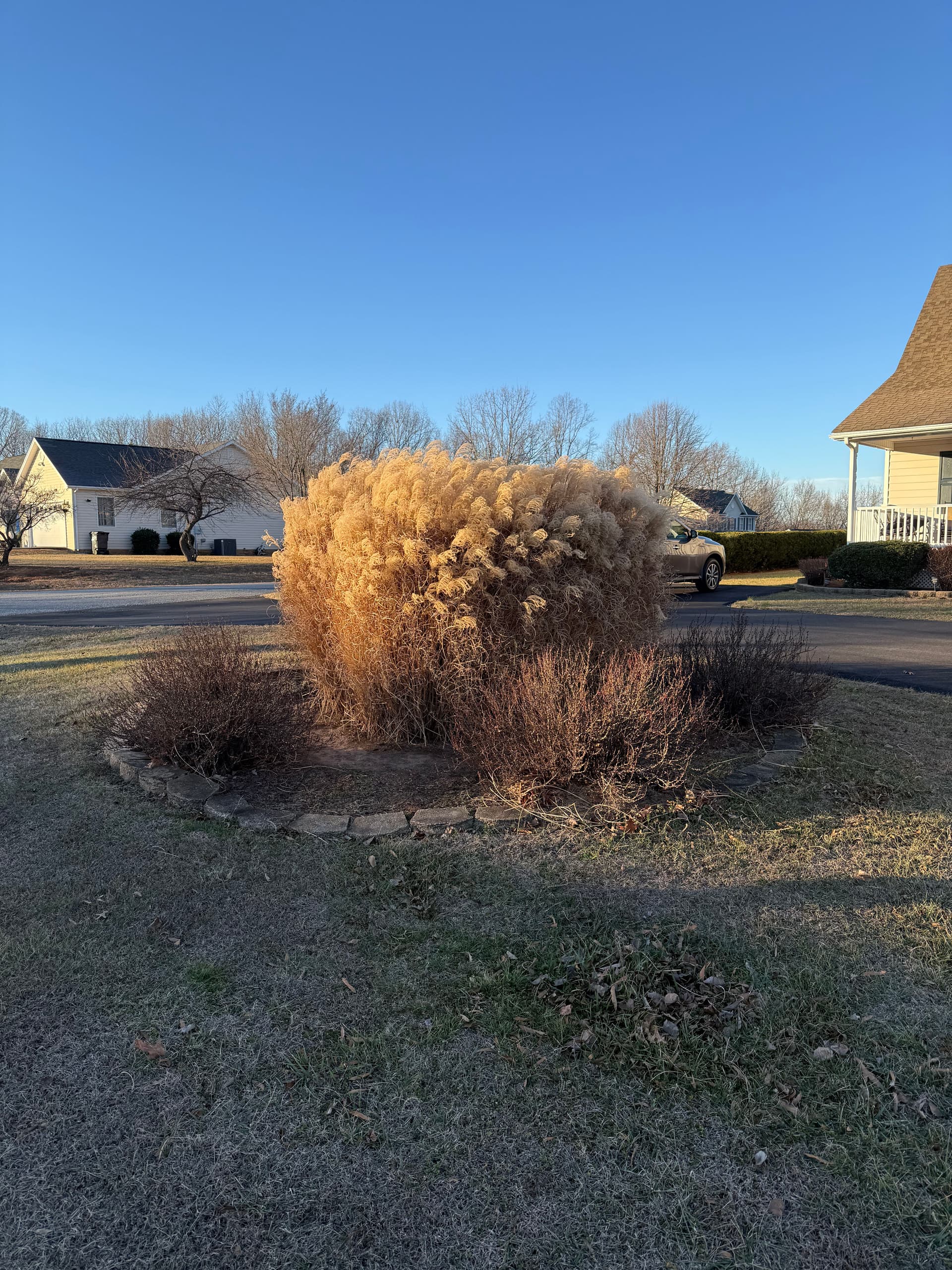 Garden Bed Revamp with Fresh Mulch and New Plantings