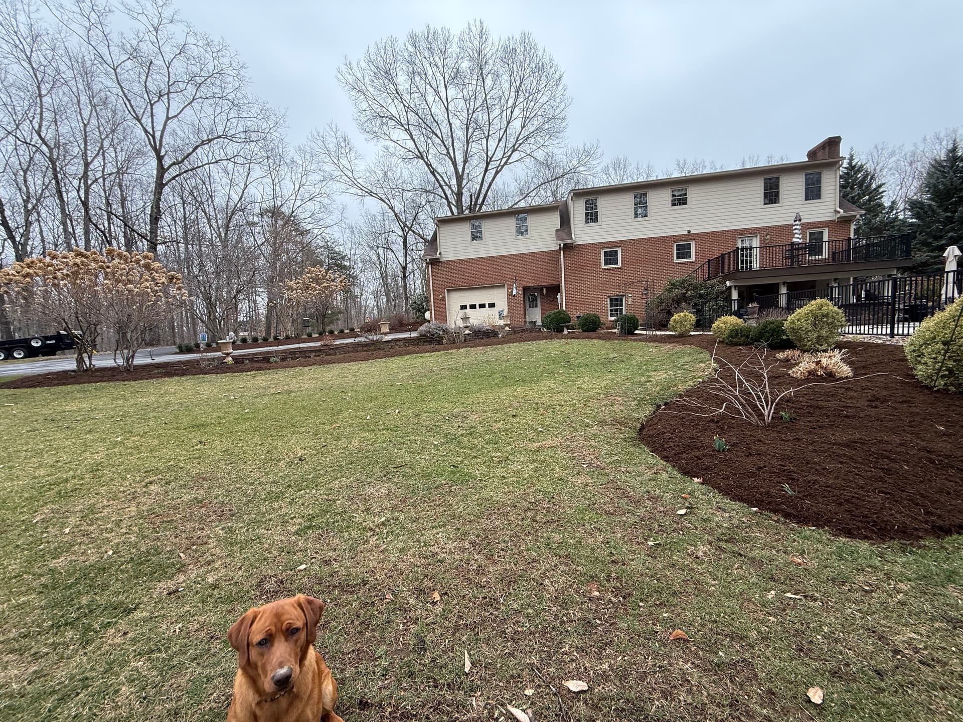 Gallery photos for Comprehensive Mulch Makeover for a Flawless Yard: Image #3