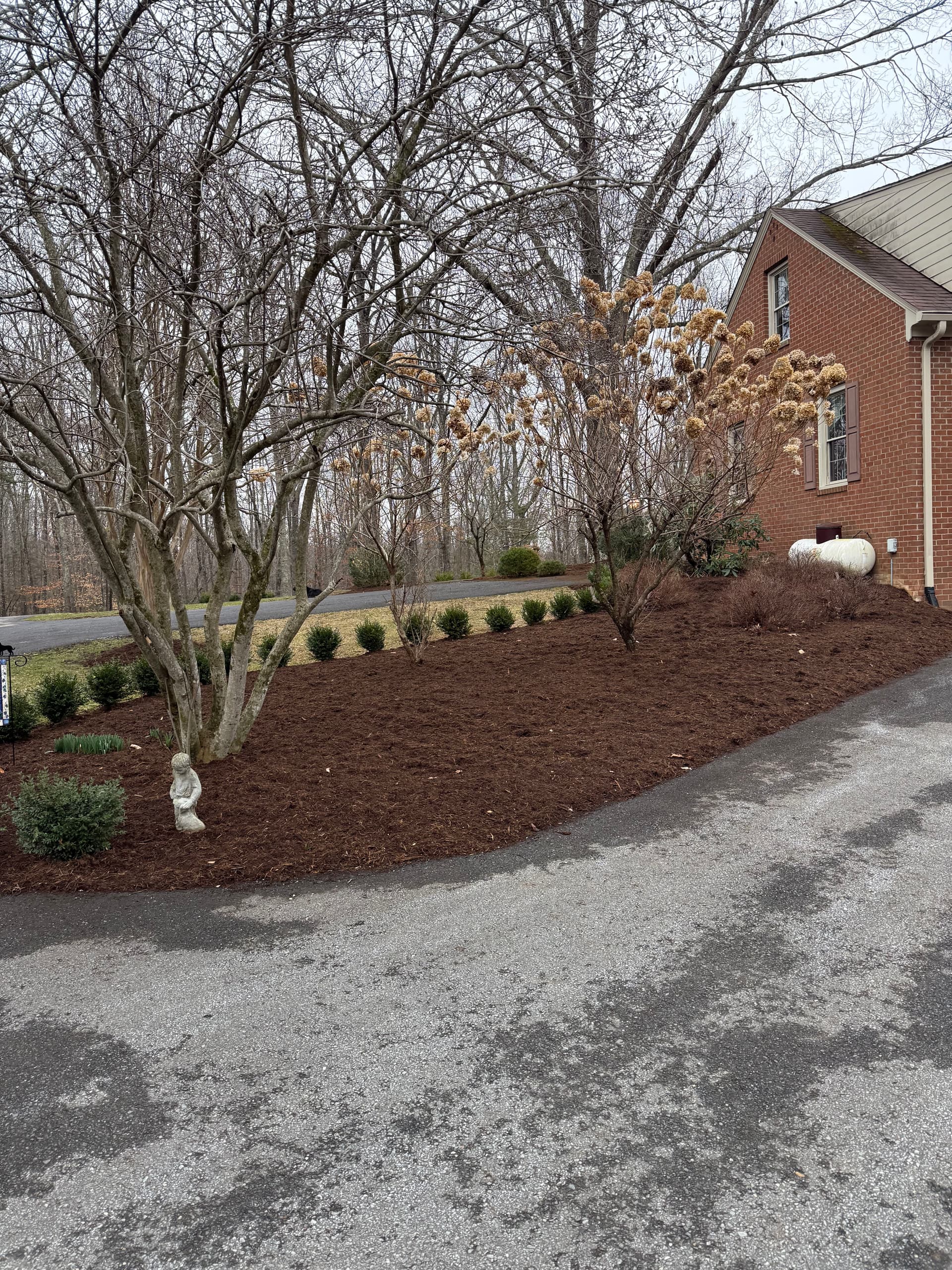 Gallery photos for Comprehensive Mulch Makeover for a Flawless Yard: Image #2