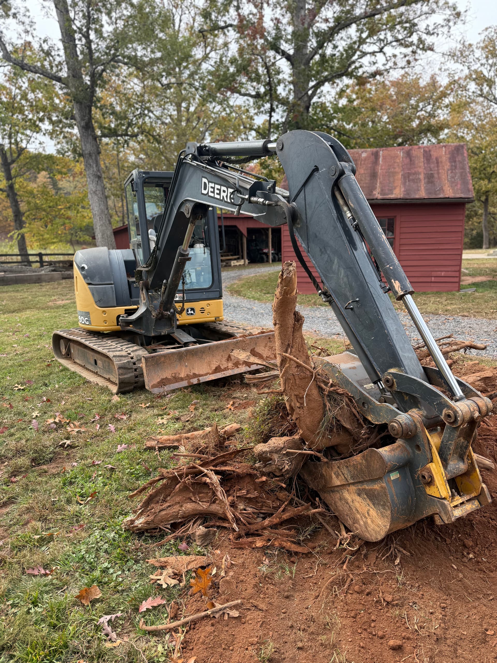 Gallery photos for Efficient Stump Removal in Buckingham VA: Image #1
