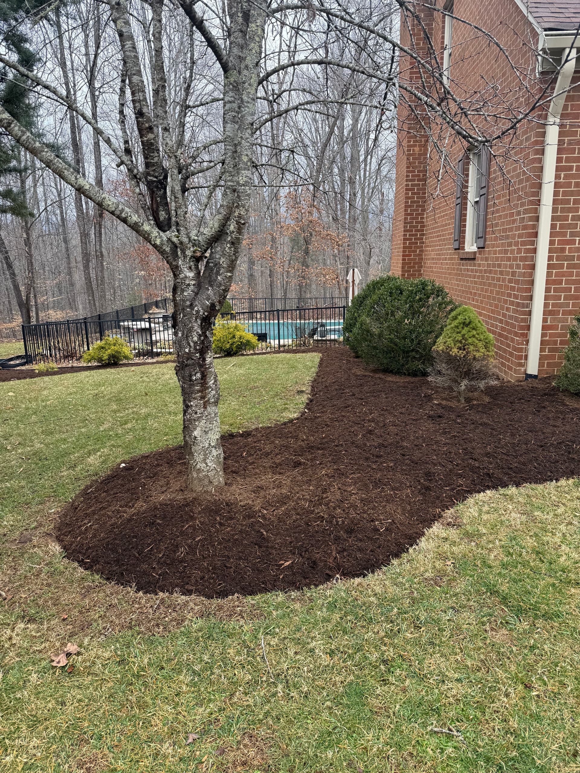 Gallery photos for Comprehensive Mulch Makeover for a Flawless Yard: Image #1